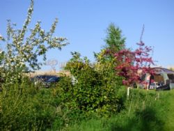 Field Barn Park Campsite