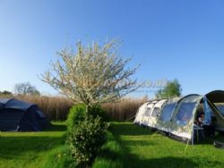 Field Barn Park Campsite
