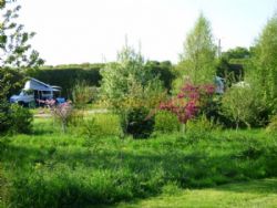 Field Barn Park Campsite