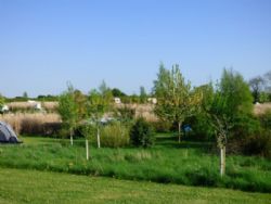 Field Barn Park Campsite