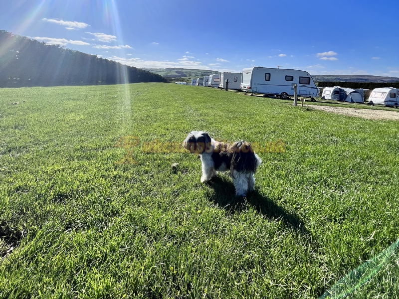 Broadings Farm Caravan Park
