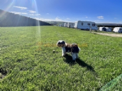 Broadings Farm Caravan Park