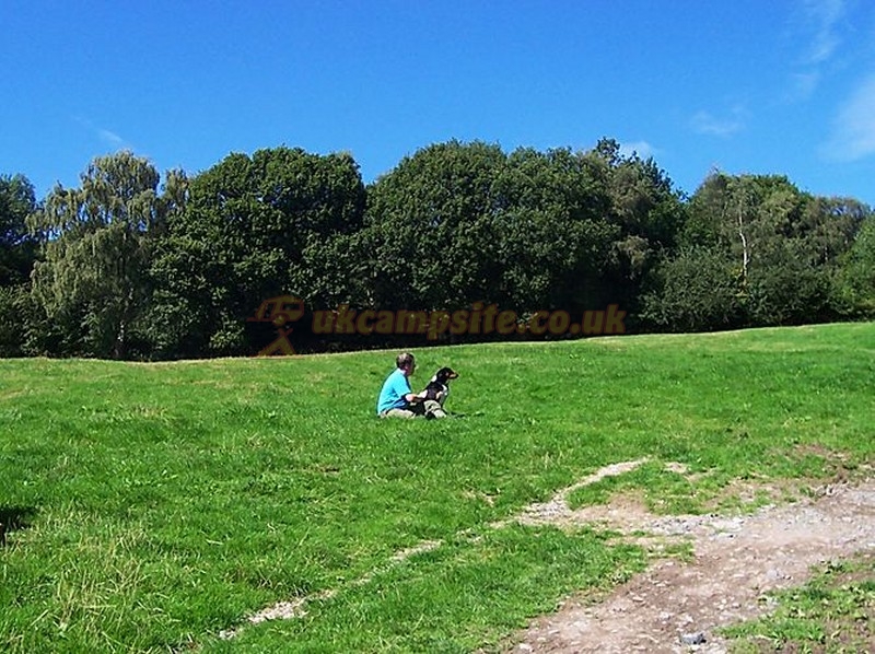 Hamperley Campsite
