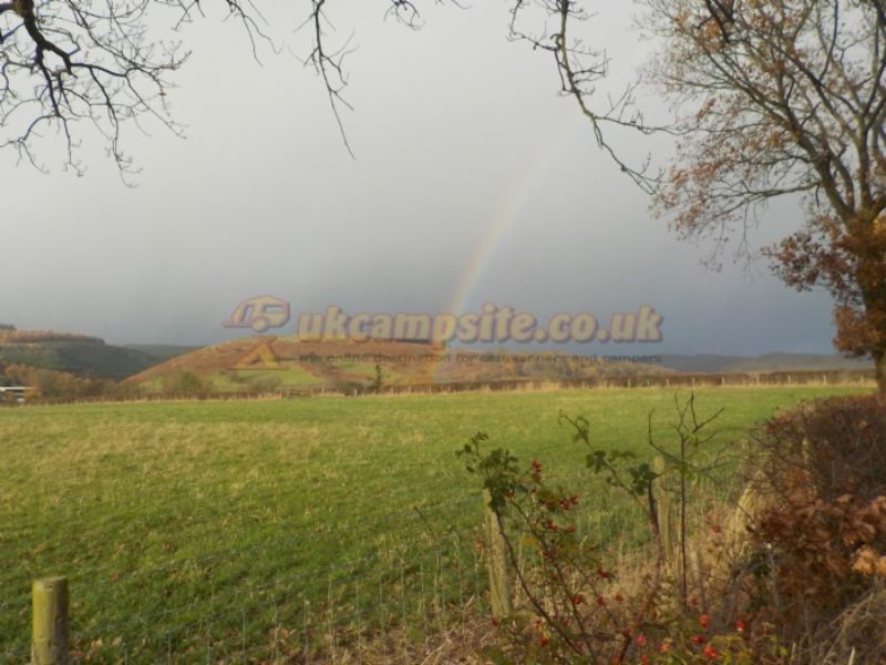Hamperley Campsite