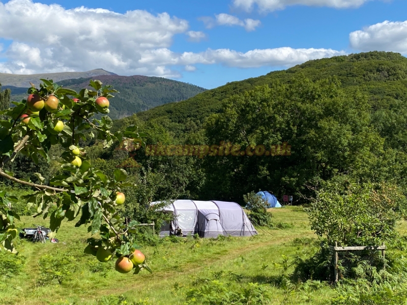 Graig Wen