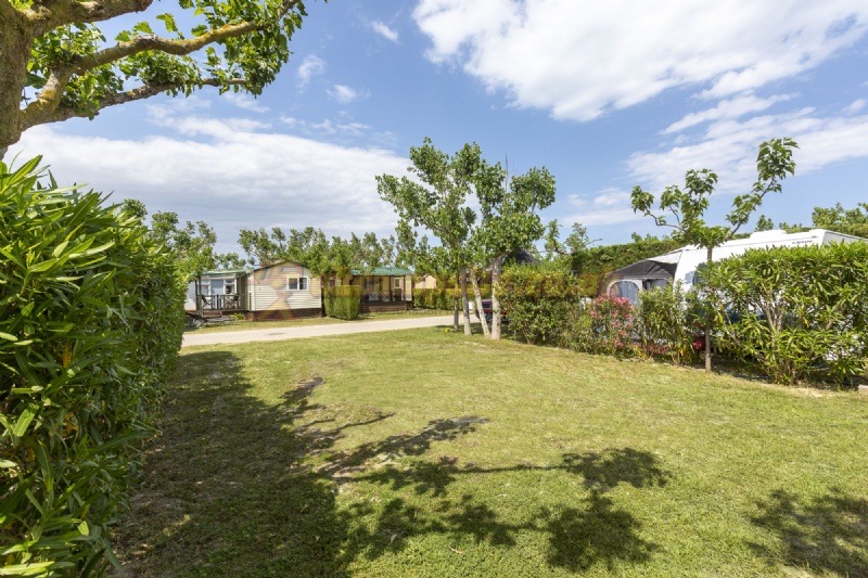 Camping Amfora
