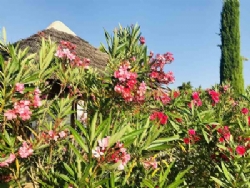 Camping Monplaisir