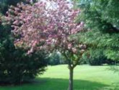 Brampton Holidays Adults Only