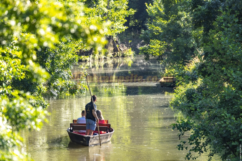 Camping Le Marais Sauvage