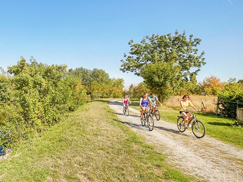Camping Le Marais Sauvage