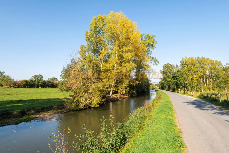 Camping Le Marais Sauvage