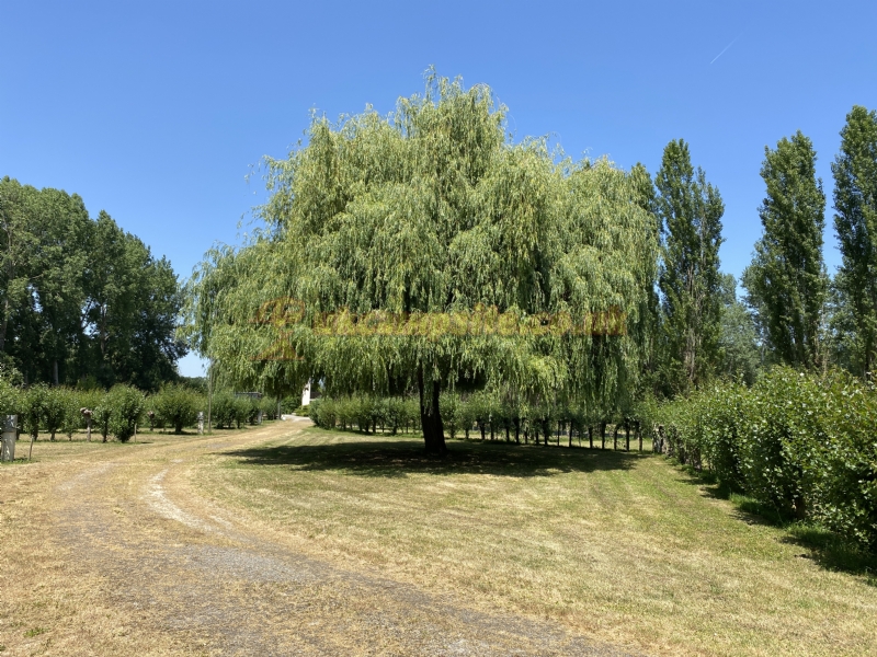 Camping Le Marais Sauvage