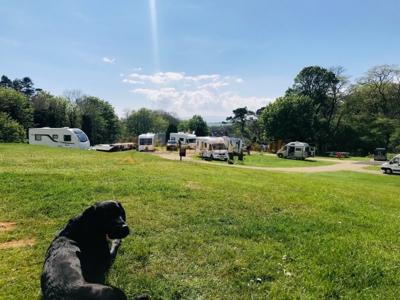 Bridgend Campsite And Holidays