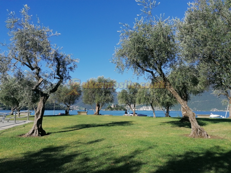 Campeggio Riva Di San Pietro