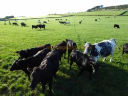 Shaw Farm Static Caravan Site