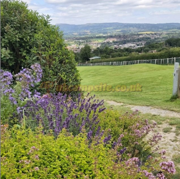 North Farm Livery And Campsite