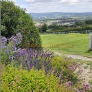 North Farm Livery And Campsite