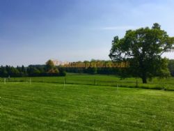 Minstead Manor Farm Glamping And Camping