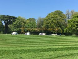 Minstead Manor Farm Glamping And Camping