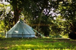 Minstead Manor Farm Glamping And Camping