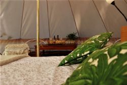 Minstead Manor Farm Glamping And Camping