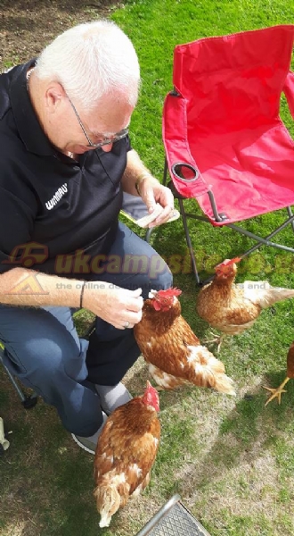 Windy Ridge Caravans