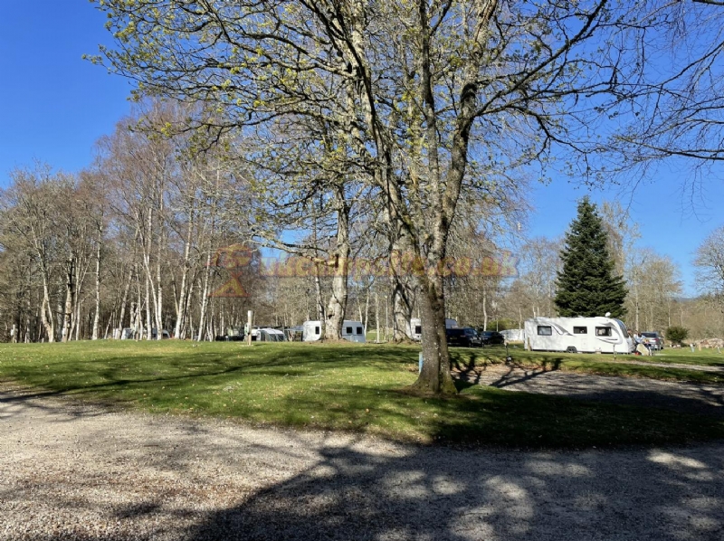 Haughton Holiday Park