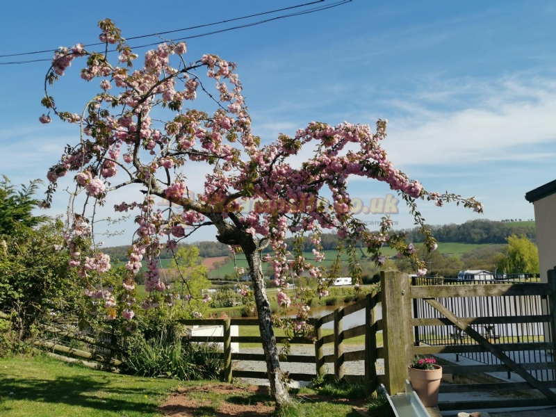 Burhope Farm Campsite