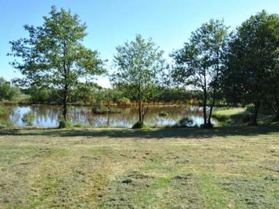 Fron Farm Fishery