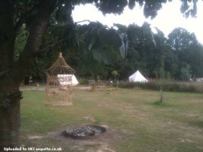 Welsummer Camping
