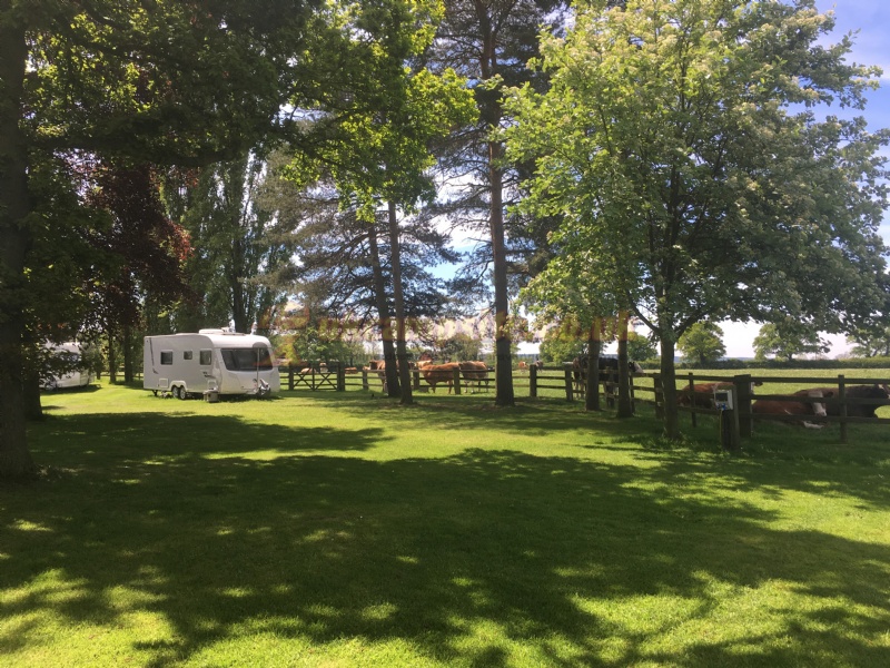 Broomhill Farm Campsite
