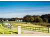 Longthorns Farm Longthorns Farm