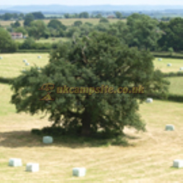 Marlbrook Farm Equestrian Centre
