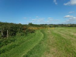 Ashcroft Farm