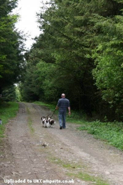 Ashcroft Farm