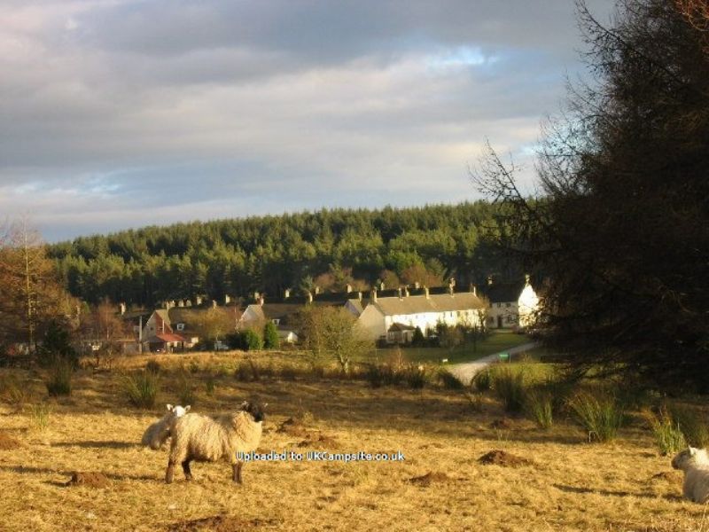 Stonehaugh Campsite