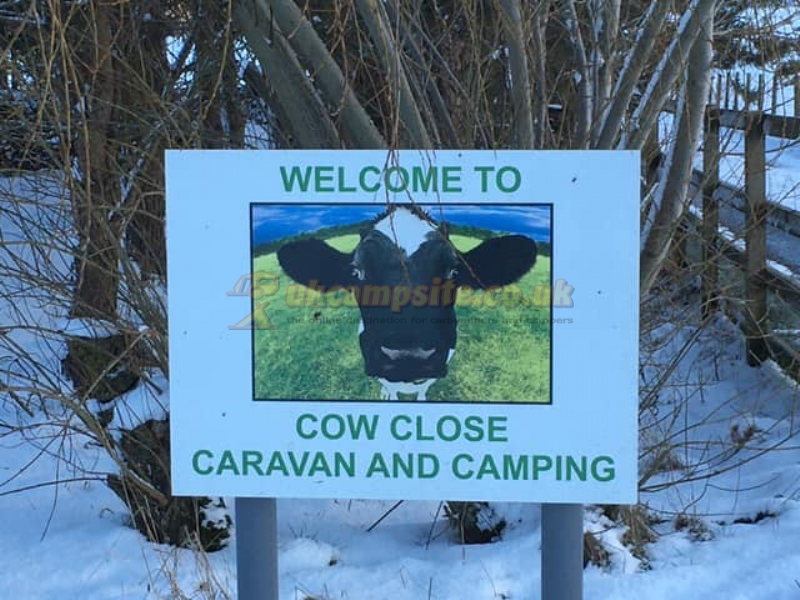 Cow Close Caravan And Camping