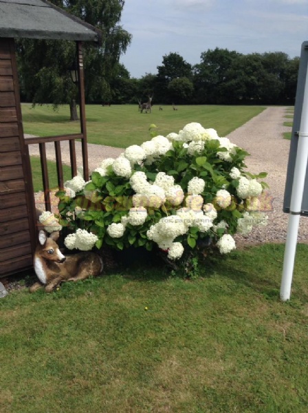 Greenacres Touring Park