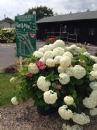 Greenacres Touring Park