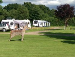 Greenacres Touring Park