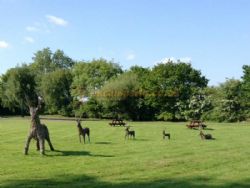 Greenacres Touring Park