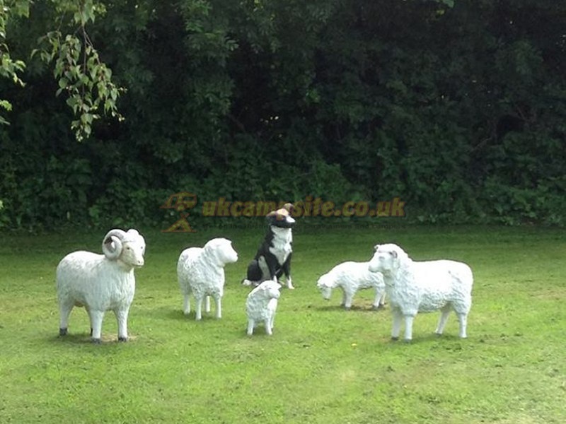 Greenacres Touring Park