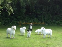 Greenacres Touring Park