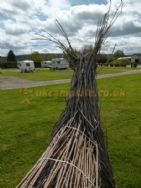 Greenacres Touring Park
