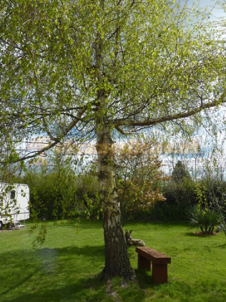 Greenacres Touring Park