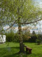 Greenacres Touring Park