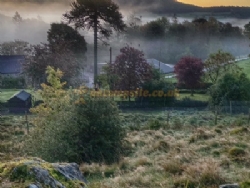 Black Beck Farm Camp Site