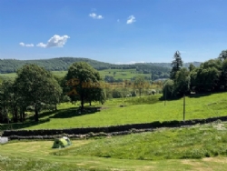 Black Beck Farm Camp Site