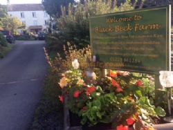 Black Beck Farm Camp Site