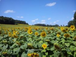 Camping Le Cormier